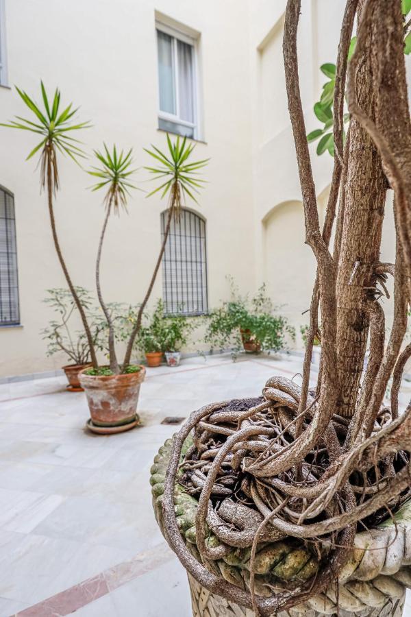 Chic&Luminoso-Wifiac/Elegant Apt In Salvador 2 Br Sevilla Eksteriør billede